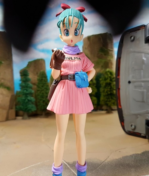 First person POVIn this shot: Scultures Dragonball Bulma