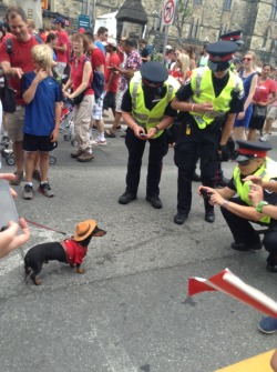 The-Absolute-Funniest-Posts: Canadian Police On The Job.