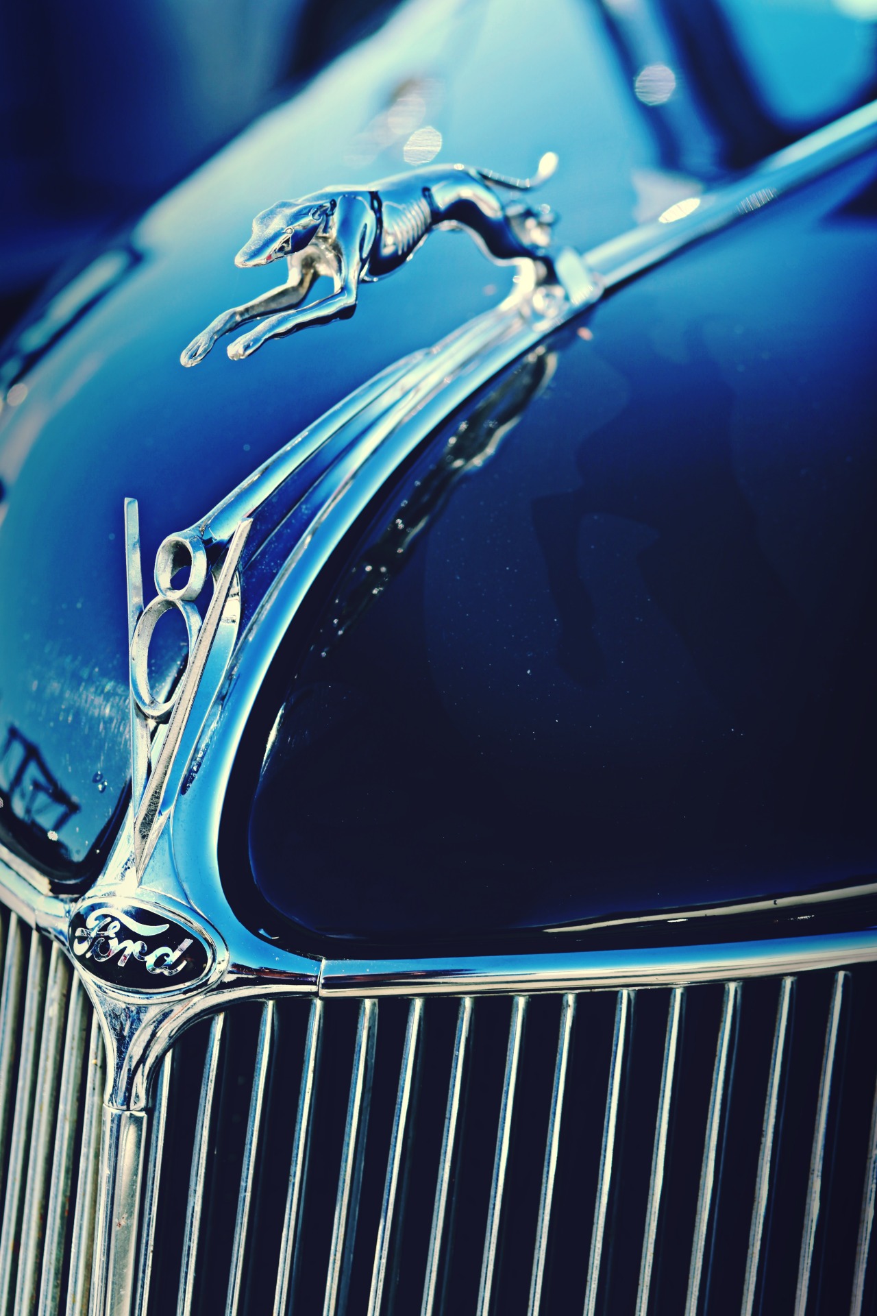HOT RODZ & PINUPS