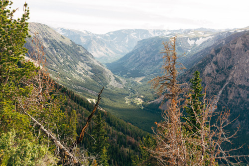 Beartooth Mountains, Wyoming.