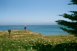 gertrudemarie: Sunday Views. 35mm. Santa Cruz, CA. 2018