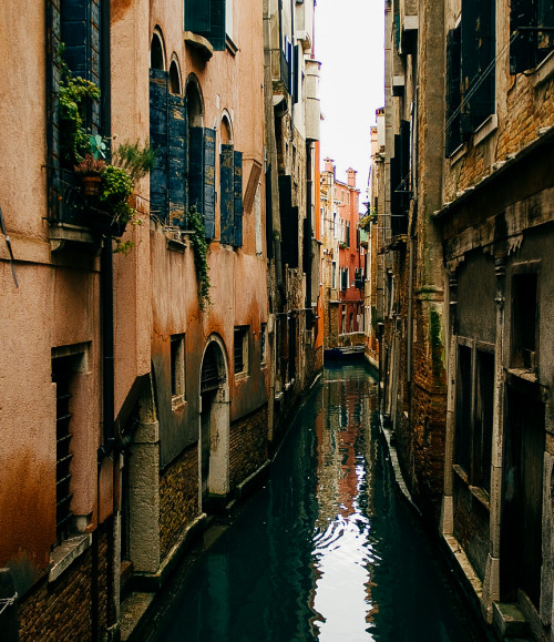 Venice (Veneto, Italy) by Mint Images  