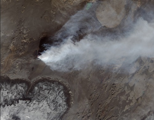 sixpenceee:  The Holuhraun lava field in Iceland (in false colour infrared and natural colour).Source: Jesse Allen/Landsat 8 - OLI/U.S. Geological Survey/NASA Earth Observatory