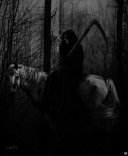 mad-girl-asylum:  On a Pale Horse. 