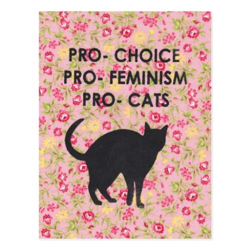 anti-capitalistlesbianwitch: Pro-Choice Pro-Feminism Pro-Cats (Source)