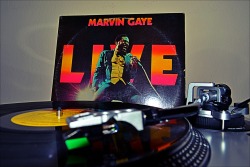 mrselfdestruct9:  Marvin Gaye Live at the