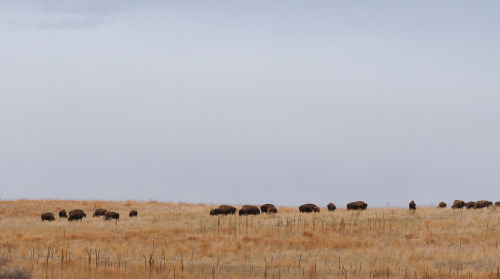 The Great Plains: ColoradoWe went exploring right where The Great Plains crash into The Rocky Mounta