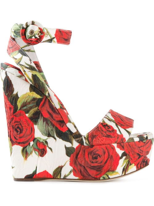 Dolce & Gabbana roses