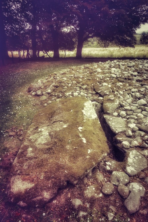 Ri Cruin Prehistoric Burial Cairn, Kilmartin Glen, Argyll, Scotland, 14.7.18.The interior of the per