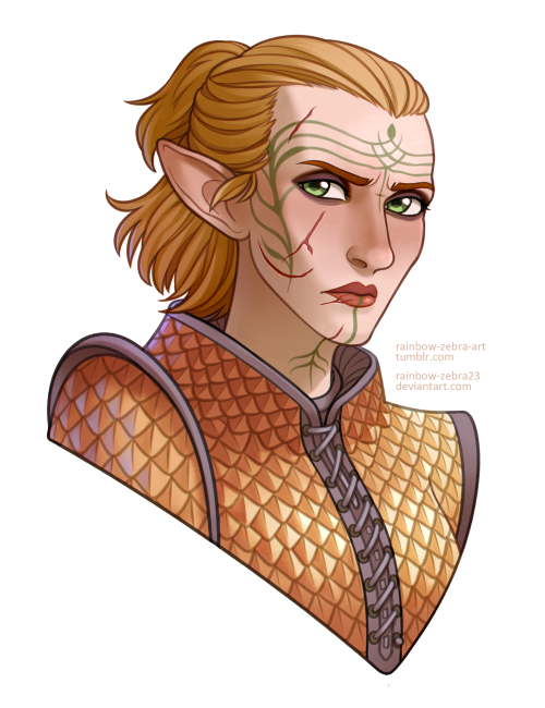 Full color commissions for @lavendersewingcircle!Her Dragon Age characters: Iseya Lavellan and Nazee