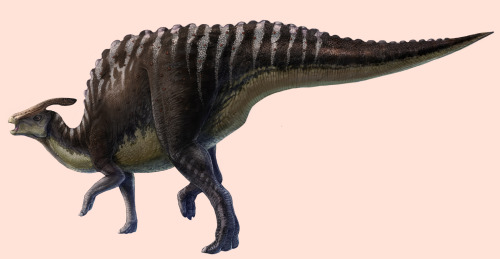 scinewscom:Paleontologists Find Fossilized Hadrosaur Nest in Mongoliawww.sci-news.com/paleont