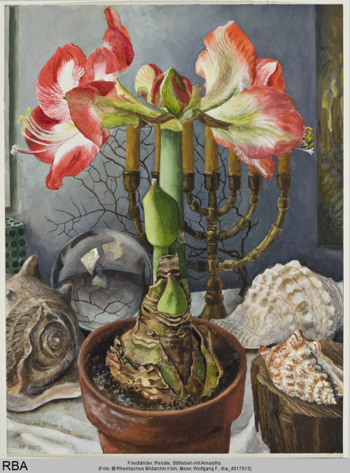 Renate Friedländer, Still life with Amaryllis, 2003. Watercolor. Private collection. Via RBA