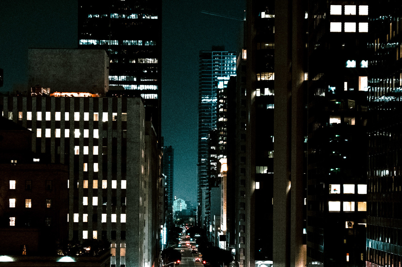 ysociety:  Los Angeles (2019)