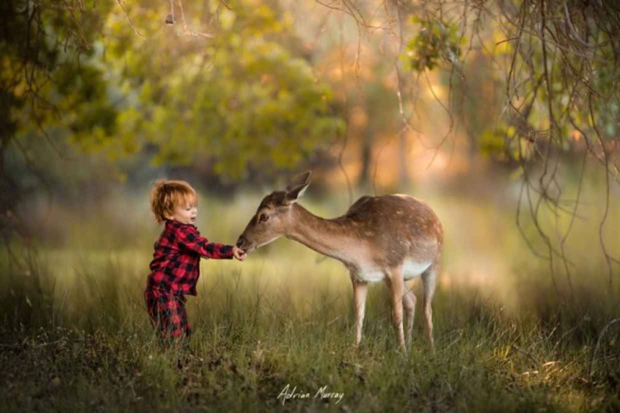 blazepress:  Father Captures Adorable Photos of His Two Sons Experiencing the Joy