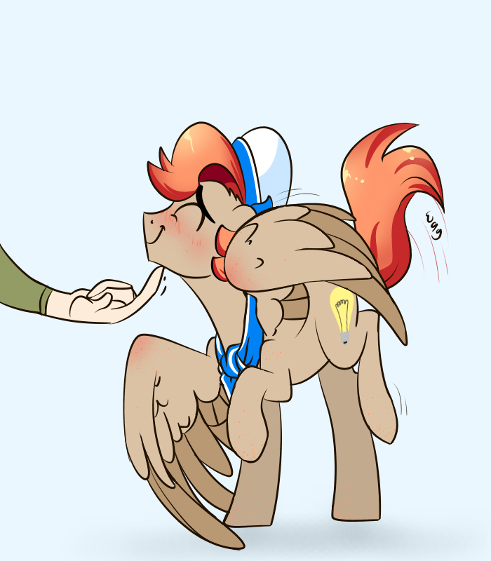 COLT SCOUTS