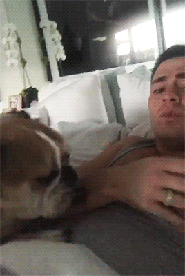 zacefronsbf:Colton Haynes on Instagram Stories