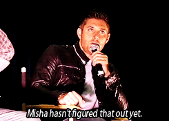 jensenacklesmishacollins:  and [Jared] loves that. [x]     