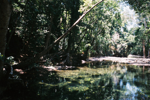 December 2019.Emmagen Creek