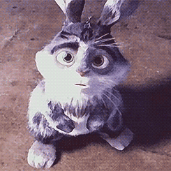 loakspider:  Baby Bunnymund appreciation; more like adorable grumblebum I love how