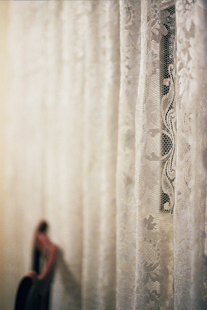congregated:  nature/vintage blog    