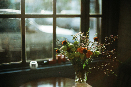 englishsnow:  by childishToy* 