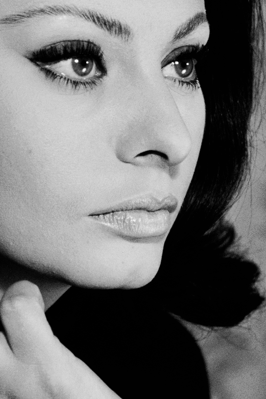 ~Old Hollywood~