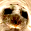 slevemcdichael