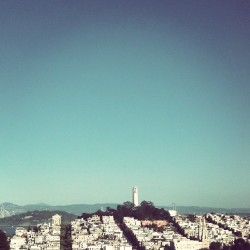 thesanfrancisco:  Clear skies over Coit #sanfrancisco