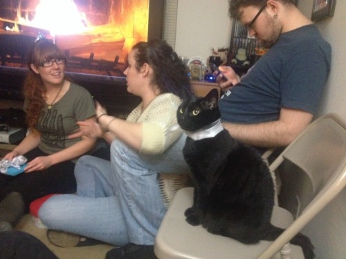 Whenever we have a family gathering my cat loves to sit in the circle and to be included. She&rsquo;