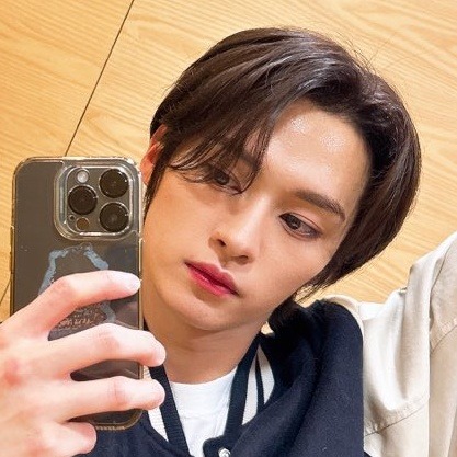 Lee Minho/lee Know Icons.