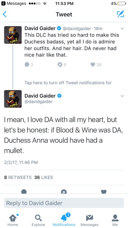 asexual-wizard:When even Gaider hates the hair choices.