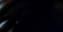 tumblr_pomvcxIrRS1rxehs6o1_400.gif
