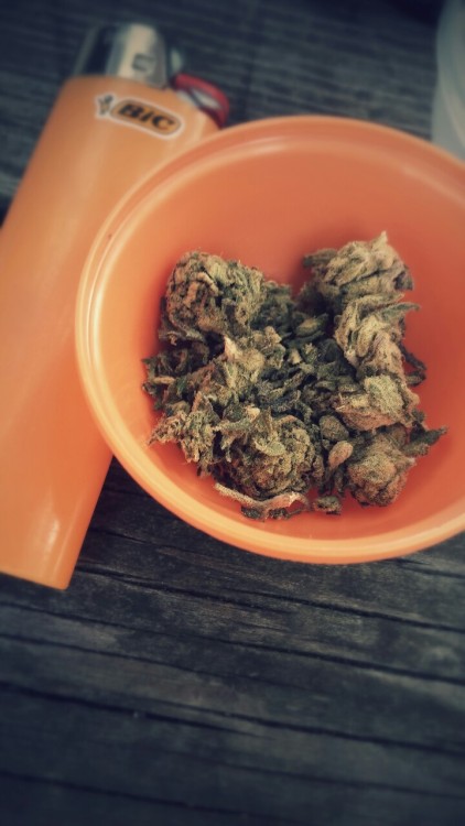 blowmelikekushhh:  Dope smoke in my lungs