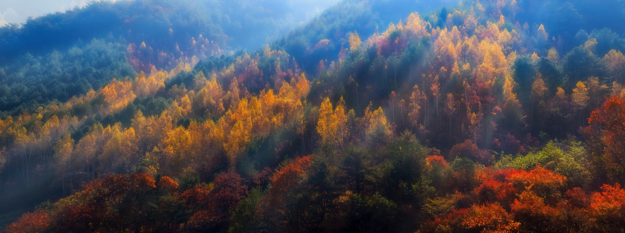 lovesouthkorea:  Sceneries of South Korea by Brandon HM Oh 