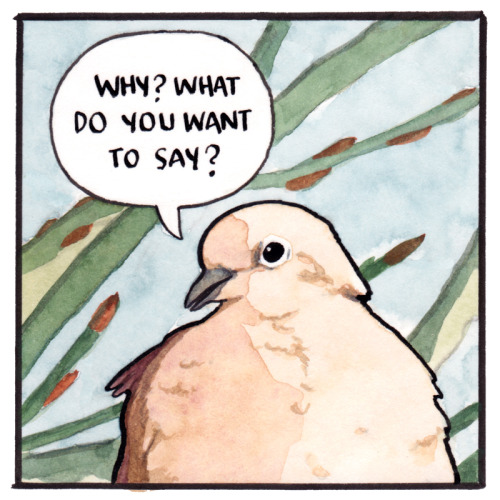 candidlyautistic:falseknees:The volume IS the message Marshall McLuhan, pigeon