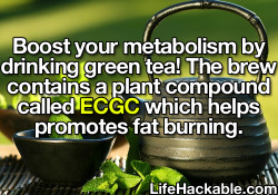 lifehackable:  More Daily Life Hacks Here  OK switching to green tea from now on