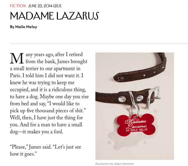 From Maile Meloy, a story about a dog that seems to rise from the dead.
Read “Madame Lazarus” in full online or in THE BEST AMERICAN SHORT STORIES 2015.
We’re posting one story every day of Short Story Month. Read all of our short story picks here.