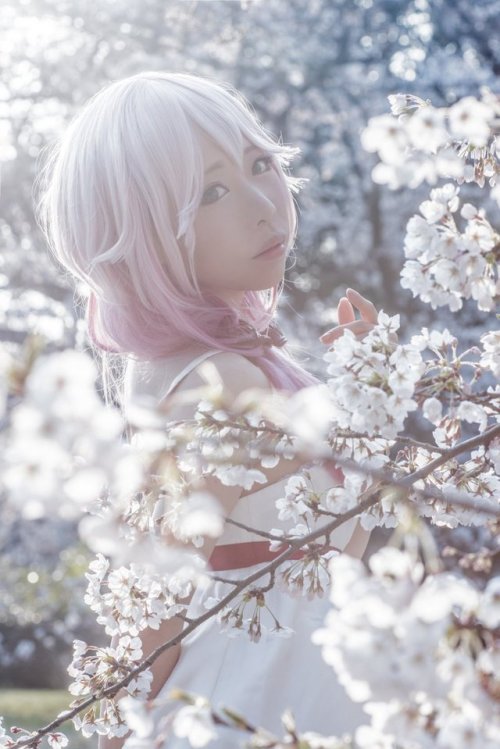 ふれいあ ‏ @fleia0124inori ⁎ .｡❀ * 楪いのり* @fleia0124 Photo* @nawako123