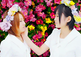 akb48g-gifs:  AKB48 31st Single: “Sayonara Crawl”“Crawl of memories, the summer