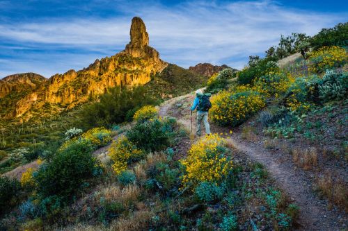 Arizona National Scenic Trail, Arizona