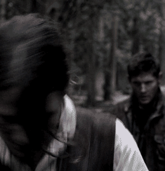 supernaturalapocalypse:  delightsx:  shadow-of-a-whisper:  teamfreewifi:  Supernatural