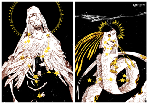 My astrological zodiac illustrations for Tua Culpa, a zine I released at the beginning of the year w