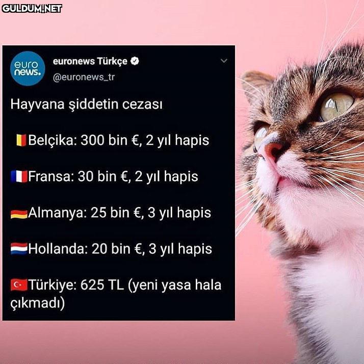 euronews Türkçe O euro...