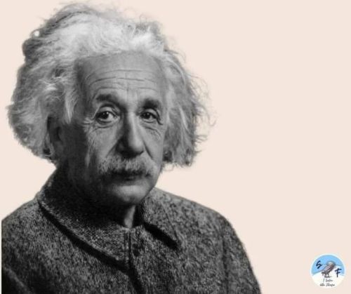 “Se volete che vostro figlio sia intelligente,
raccontategli una fiaba; se volete che sia molto intelligente, raccontategliene di più.”
Albert Einstein
https://www.instagram.com/p/CoZj9fVNoKe/?igshid=NGJjMDIxMWI=