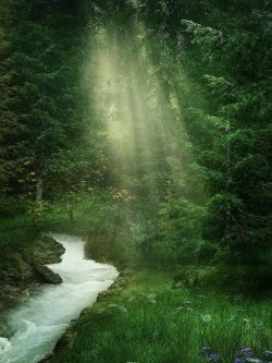 lori-rocks:  The sun shines through, via