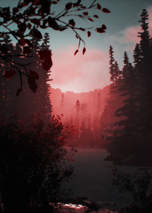 megziesims:Night & Day