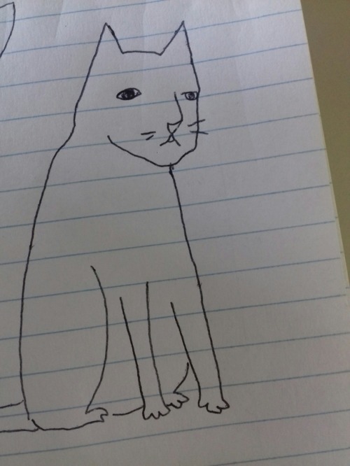 st-pam:cats I drew during my contemporary art classNice 