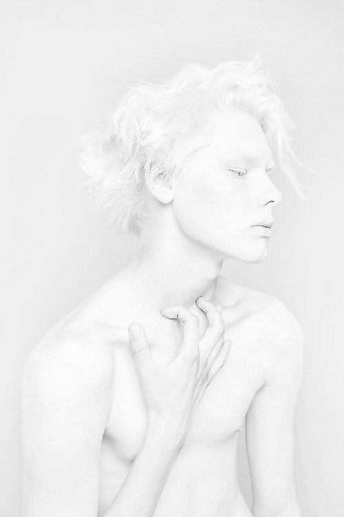 tresviri:  T R E S V I R I   Fate loves the fearless. 