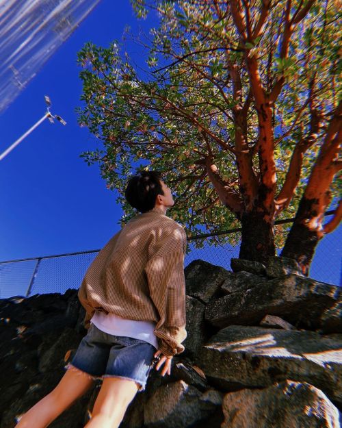 Look At My Shorty In Shorts