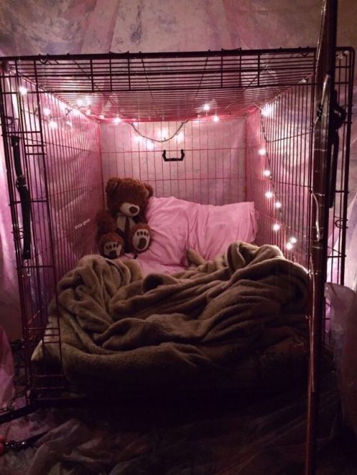 cuntbusted: unlovable-kitty: Comfy I need this Not my kink but I love this ❤️❤️❤️